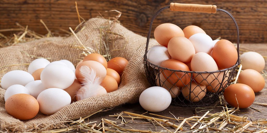 Czy jajka są zdrowe?